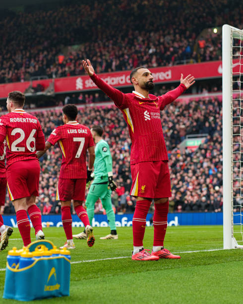 提供了充足 提供了充足